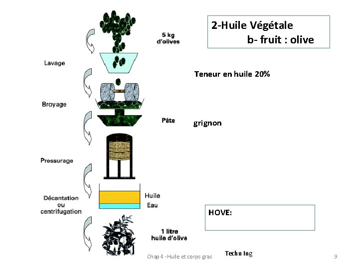 2 -Huile Végétale b- fruit : olive Teneur en huile 20% grignon HOVE: Chap