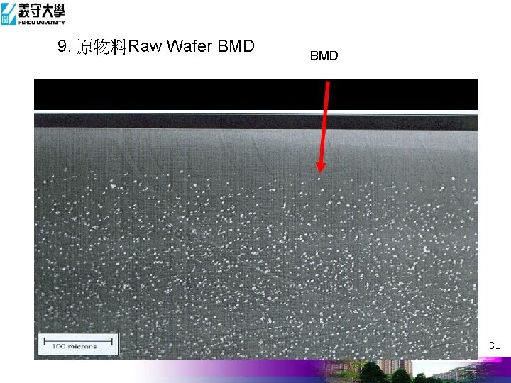 9. 原物料Raw Wafer BMD 31 