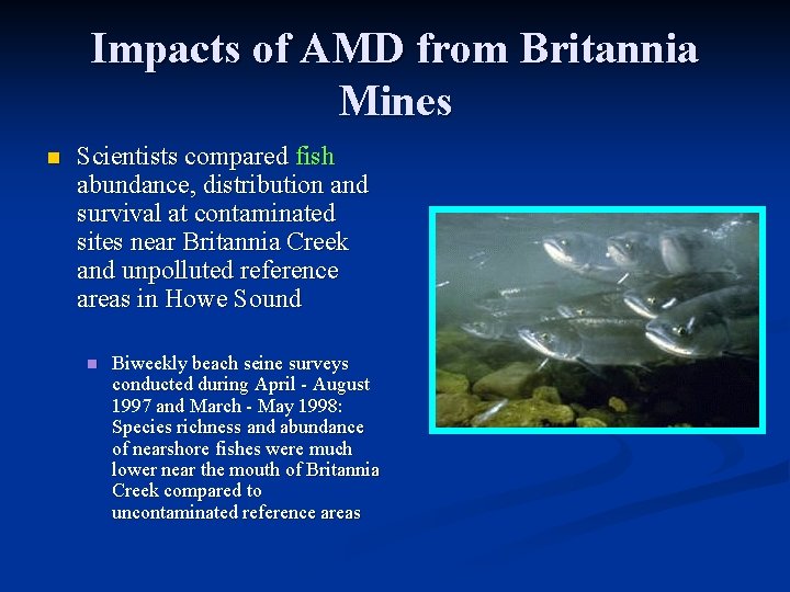 Impacts of AMD from Britannia Mines n Scientists compared fish abundance, distribution and survival