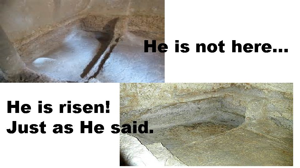 He is not here… He is risen! Just as He said. 