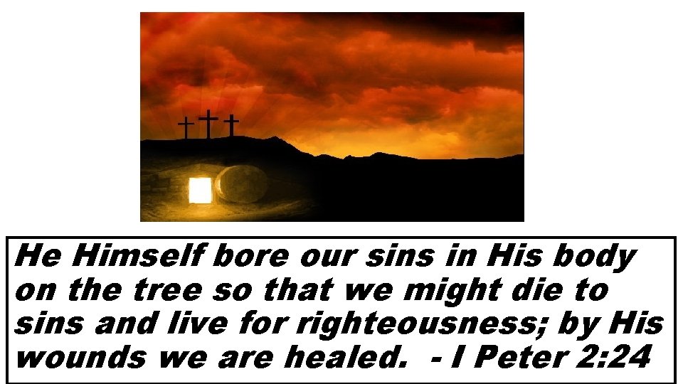 He Himself bore our sins in His body on the tree so that we