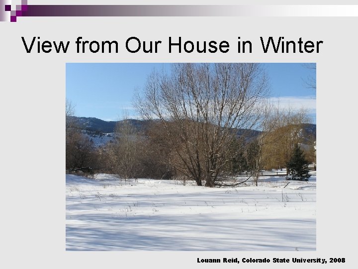 View from Our House in Winter Louann Reid, Colorado State University, 2008 View from Our House in Winter Louann Reid, Colorado State University, 2008