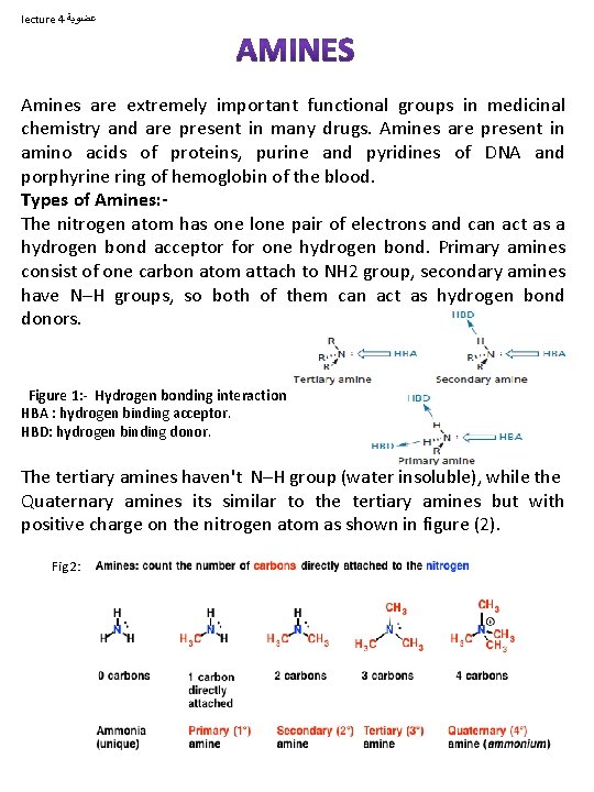 lecture 4 ﻋﻀﻮﻳﺔ Amines are extremely important functional groups in medicinal chemistry and are