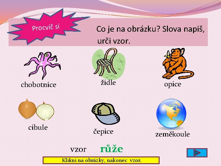  Procvič si Co je na obrázku? Slova napiš, urči vzor. židle chobotnice cibule