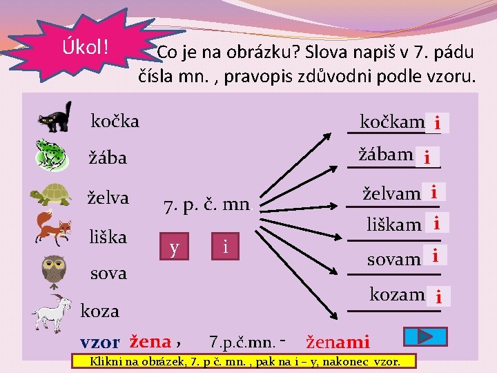  Úkol! Co je na obrázku? Slova napiš v 7. pádu čísla mn. ,