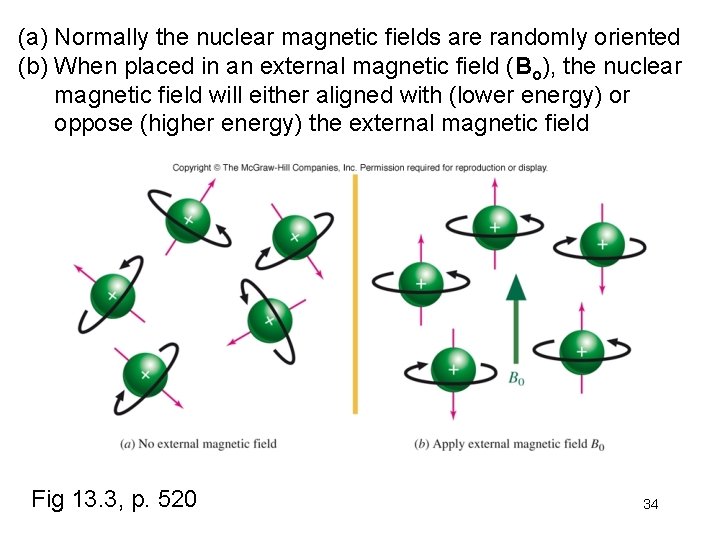 (a) Normally the nuclear magnetic fields are randomly oriented (b) When placed in an