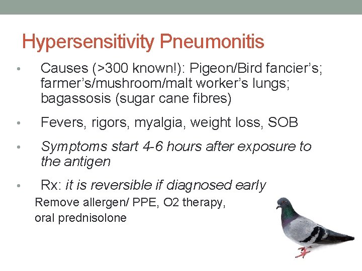 Hypersensitivity Pneumonitis • Causes (>300 known!): Pigeon/Bird fancier’s; farmer’s/mushroom/malt worker’s lungs; bagassosis (sugar cane