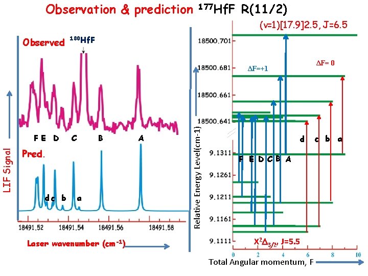 Observation & prediction 177 Hf. F R(11/2) (v=1)[17. 9]2. 5, J=6. 5 Observed 180