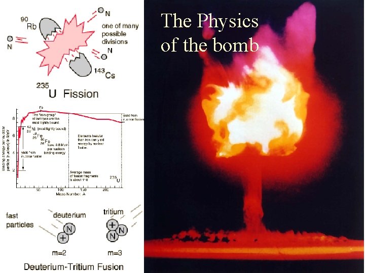 The Physics of the bomb 