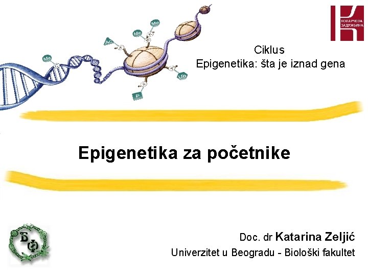 Ciklus Epigenetika: šta je iznad gena Epigenetika za početnike Doc. dr Katarina Zeljić Univerzitet Ciklus Epigenetika: šta je iznad gena Epigenetika za početnike Doc. dr Katarina Zeljić Univerzitet