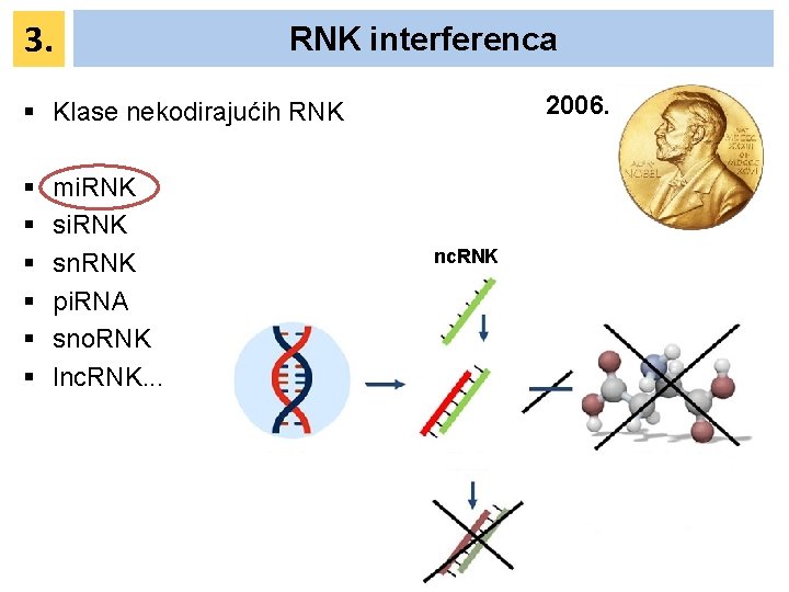 3. RNK interferenca 2006. § Klase nekodirajućih RNK § § § mi. RNK sn. 3. RNK interferenca 2006. § Klase nekodirajućih RNK § § § mi. RNK sn.