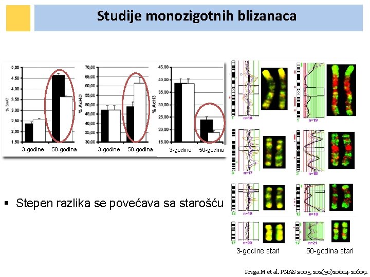 Studije monozigotnih blizanaca 3 -godine 50 -godina § Stepen razlika se povećava sa starošću Studije monozigotnih blizanaca 3 -godine 50 -godina § Stepen razlika se povećava sa starošću