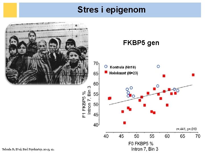 Stres i epigenom FKBP 5 gen Yehuda R. Et al. Biol Psychiatry. 2015, 12. Stres i epigenom FKBP 5 gen Yehuda R. Et al. Biol Psychiatry. 2015, 12.
