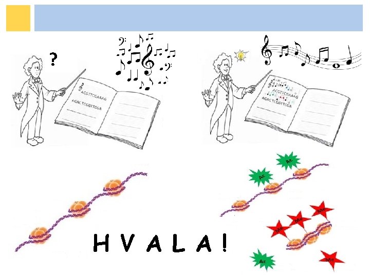 ? H V A L A ! ? H V A L A !