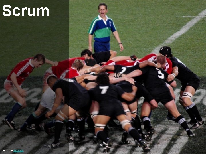 Scrum picture by Kiwi Flickr 