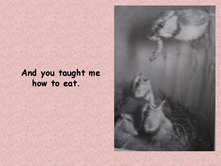 And you taught me how to eat. 