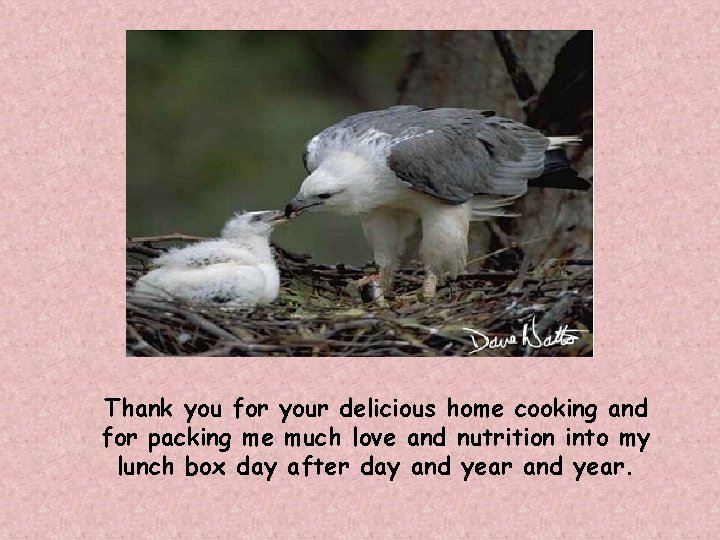 Thank you for your delicious home cooking and for packing me much love and