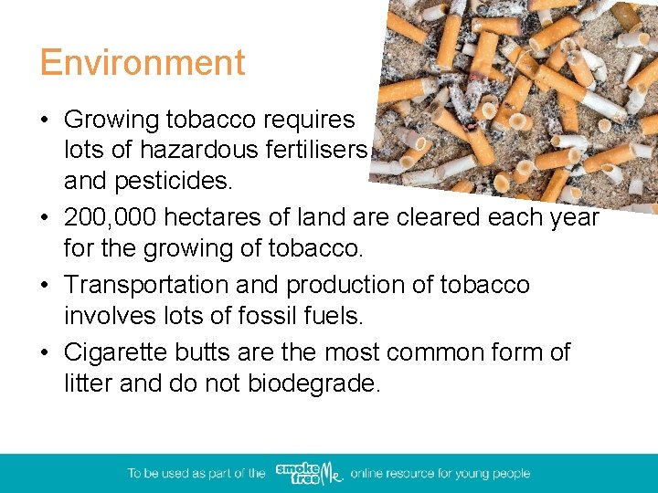 Environment • Growing tobacco requires lots of hazardous fertilisers and pesticides. • 200, 000