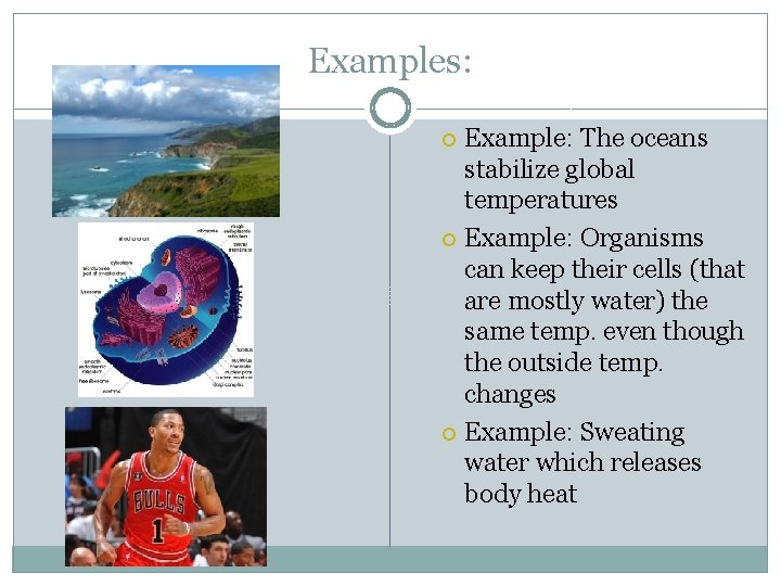 Examples: Example: The oceans stabilize global temperatures Example: Organisms can keep their cells (that