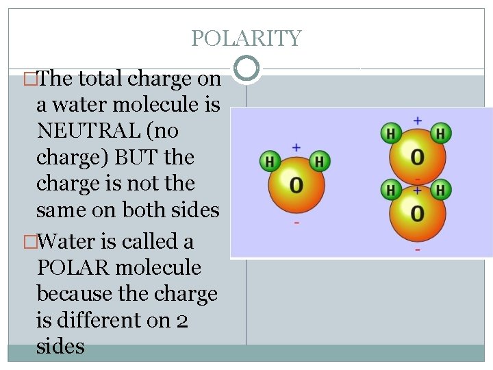 POLARITY �The total charge on a water molecule is NEUTRAL (no charge) BUT the