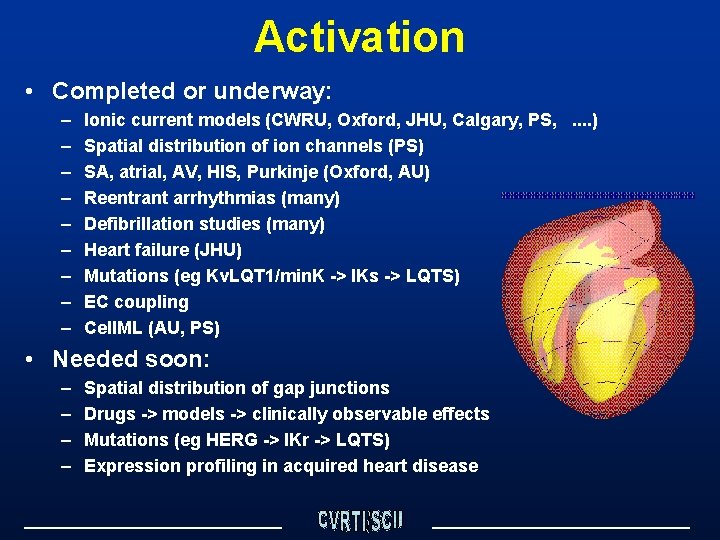 Activation • Completed or underway: – – – – – Ionic current models (CWRU,