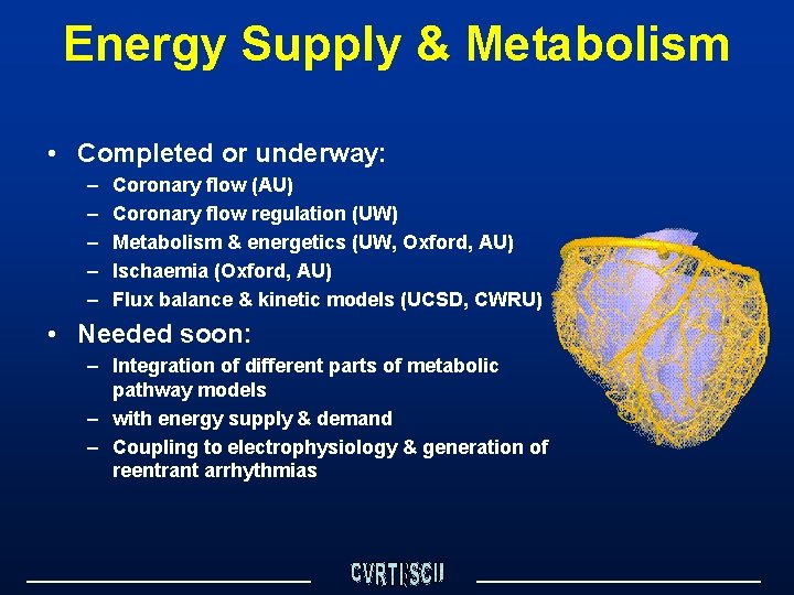 Energy Supply & Metabolism • Completed or underway: – – – Coronary flow (AU)