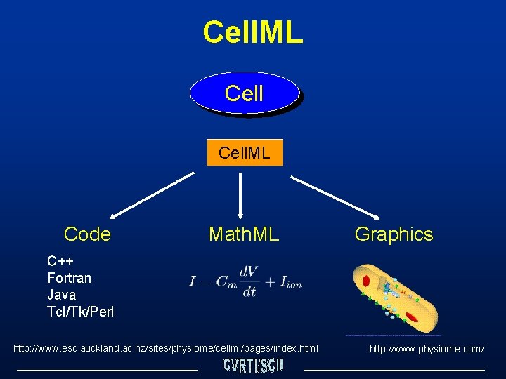 Cell. ML Code Math. ML Graphics C++ Fortran Java Tcl/Tk/Perl http: //www. esc. auckland.