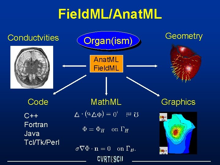 Field. ML/Anat. ML Conductvities Organ(ism) Geometry Anat. ML Field. ML Code C++ Fortran Java