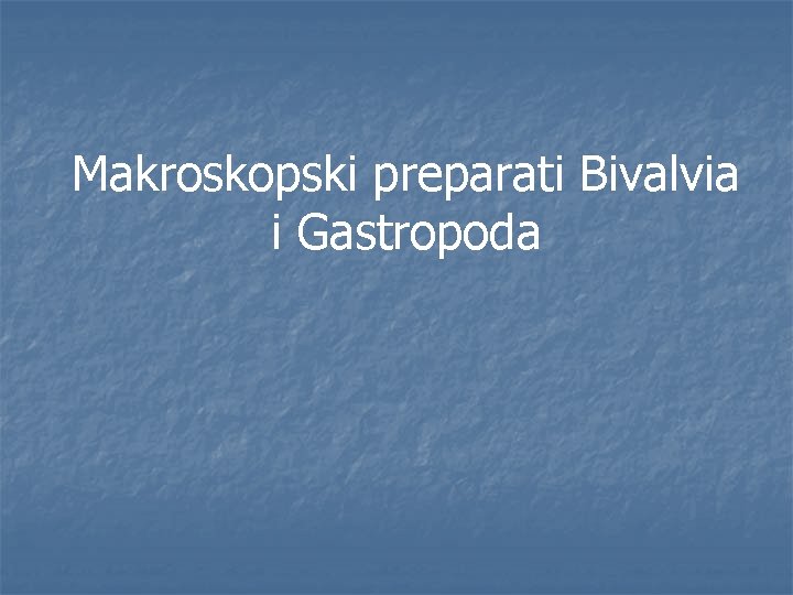 Makroskopski preparati Bivalvia i Gastropoda 