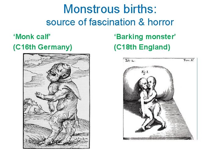 Monstrous births: source of fascination & horror ‘Monk calf’ (C 16 th Germany) ‘Barking