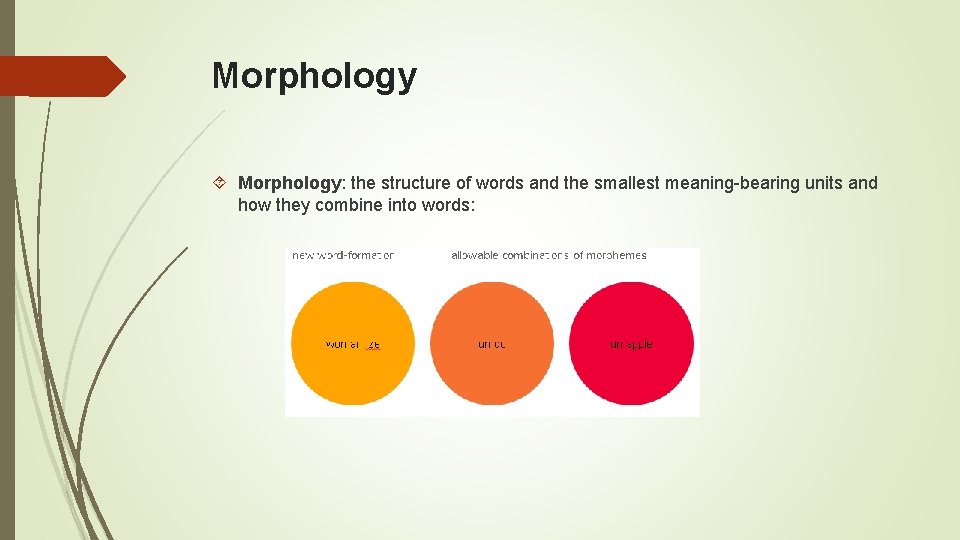 Morphology Morphology: the structure of words and the smallest meaning-bearing units and how they