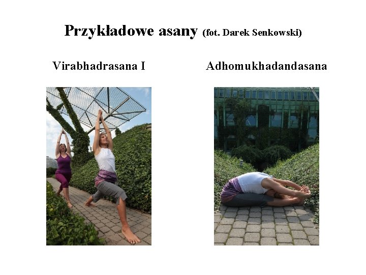 Przykładowe asany (fot. Darek Senkowski) Virabhadrasana I Adhomukhadandasana 