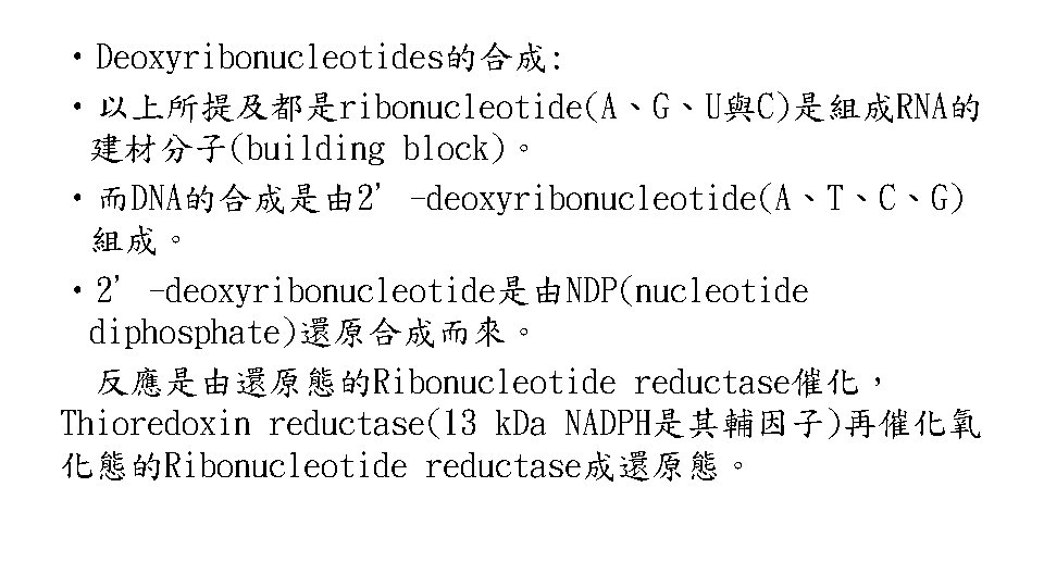  • Deoxyribonucleotides的合成: • 以上所提及都是ribonucleotide(A、G、U與C)是組成RNA的 建材分子(building block)。 • 而DNA的合成是由 2’-deoxyribonucleotide(A、T、C、G) 組成。 • 2’-deoxyribonucleotide是由NDP(nucleotide diphosphate)還原合成而來。