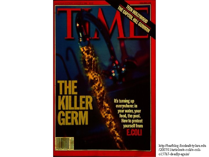 http: //barfblog. foodsafety. ksu. edu /2007/11/articles/e-colio 157 h 7 -deadly-again/ 