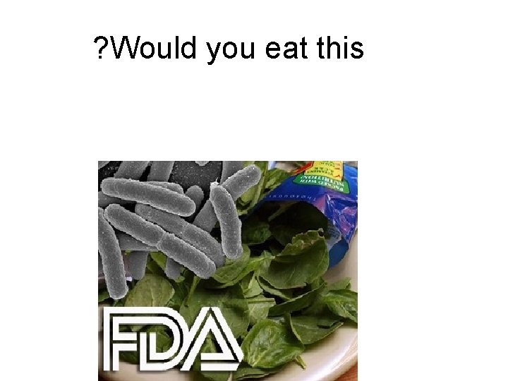 ? Would you eat this 