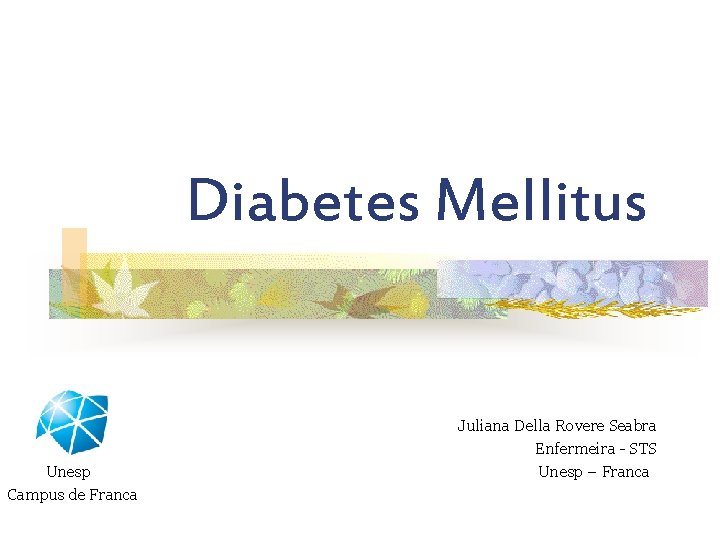 Diabetes Mellitus Unesp Campus de Franca Juliana Della Rovere Seabra Enfermeira - STS Unesp