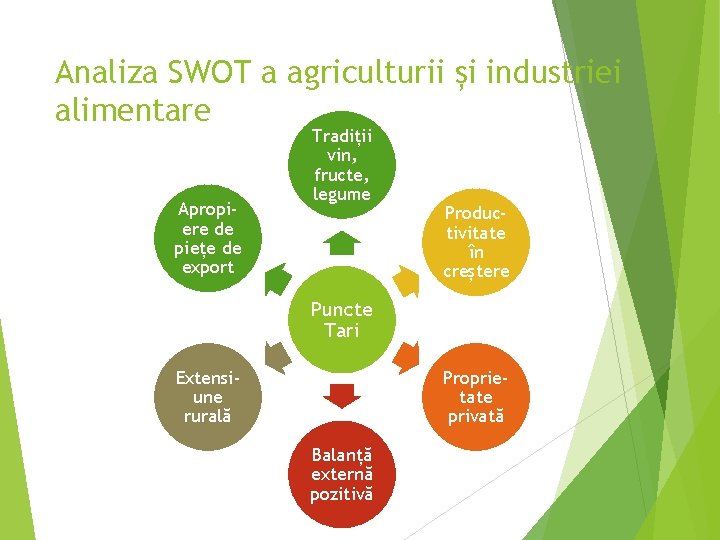 Analiza SWOT a agriculturii și industriei alimentare Apropiere de piețe de export Tradiții vin,