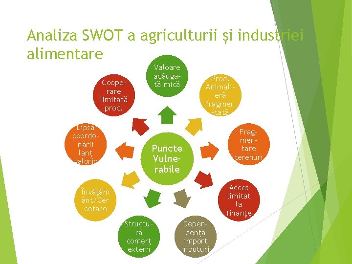 Analiza SWOT a agriculturii și industriei alimentare Valoare adăugată mică Cooperare limitată prod. Lipsa