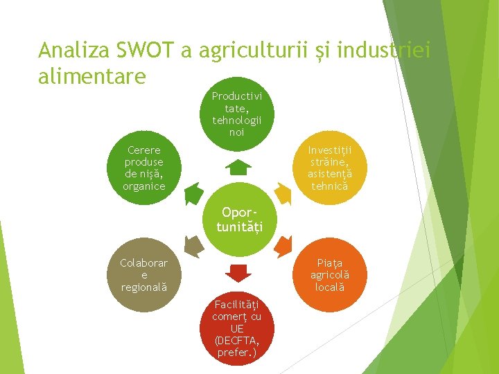 Analiza SWOT a agriculturii și industriei alimentare Productivi tate, tehnologii noi Cerere produse de