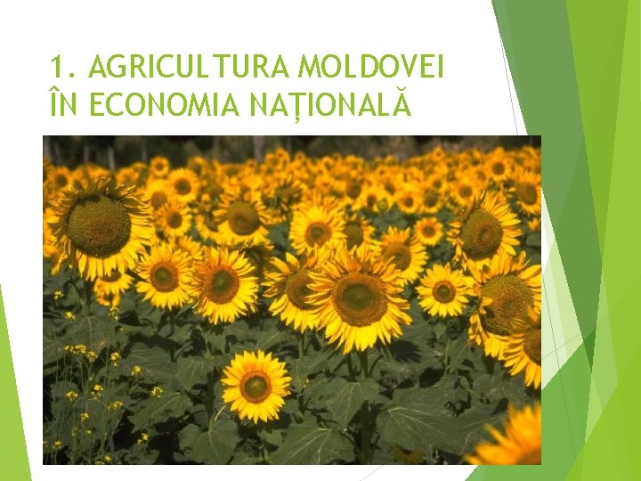 1. AGRICULTURA MOLDOVEI ÎN ECONOMIA NAȚIONALĂ 