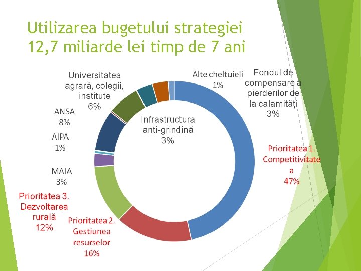 Utilizarea bugetului strategiei 12, 7 miliarde lei timp de 7 ani 