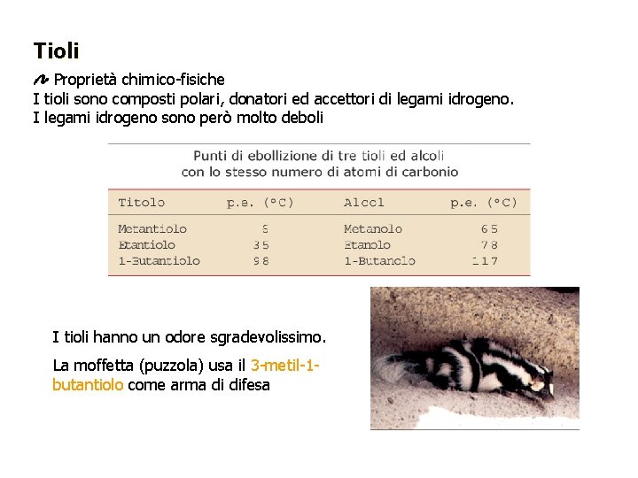 Tioli Proprietà chimico-fisiche I tioli sono composti polari, donatori ed accettori di legami idrogeno.