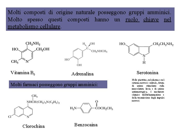 Molti composti di origine naturale posseggono gruppi amminici. Molto spesso questi composti hanno un