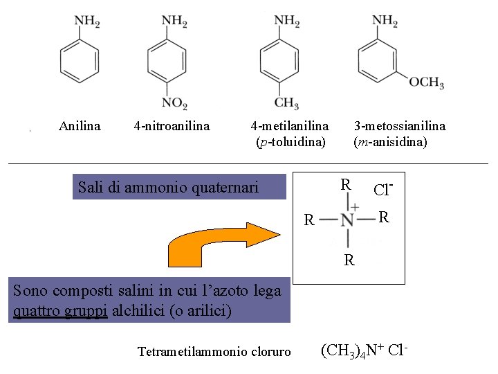 Anilina 4 -nitroanilina 4 -metilanilina (p-toluidina) 3 -metossianilina (m-anisidina) R Sali di ammonio quaternari
