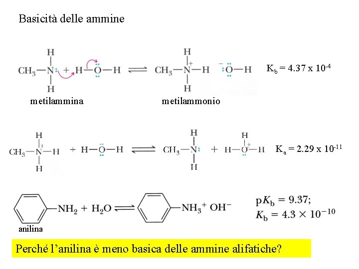 Basicità delle ammine Kb = 4. 37 x 10 -4 metilammina metilammonio Ka =