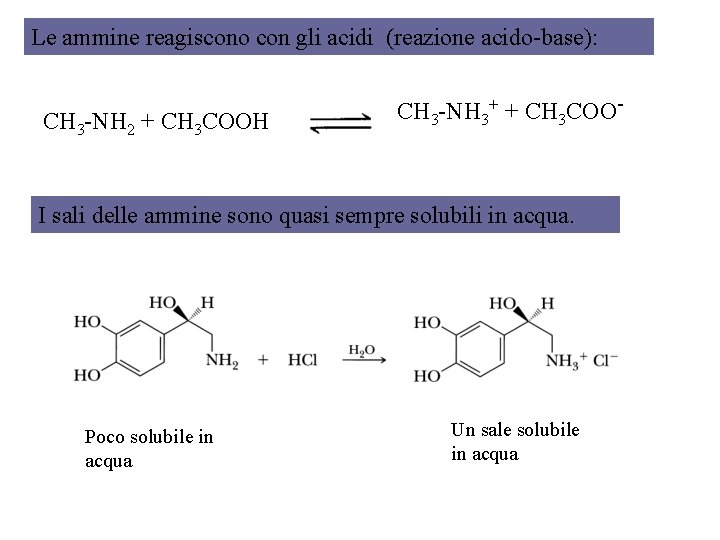 Le ammine reagiscono con gli acidi (reazione acido-base): CH 3 -NH 2 + CH
