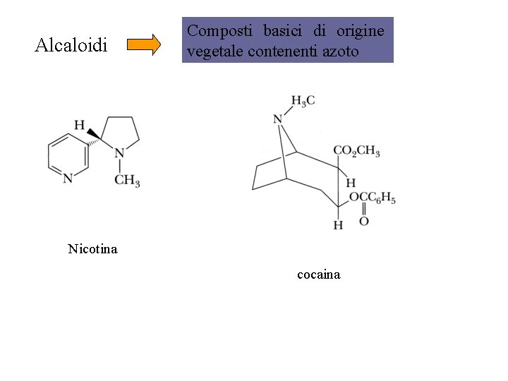 Alcaloidi Composti basici di origine vegetale contenenti azoto Nicotina cocaina 