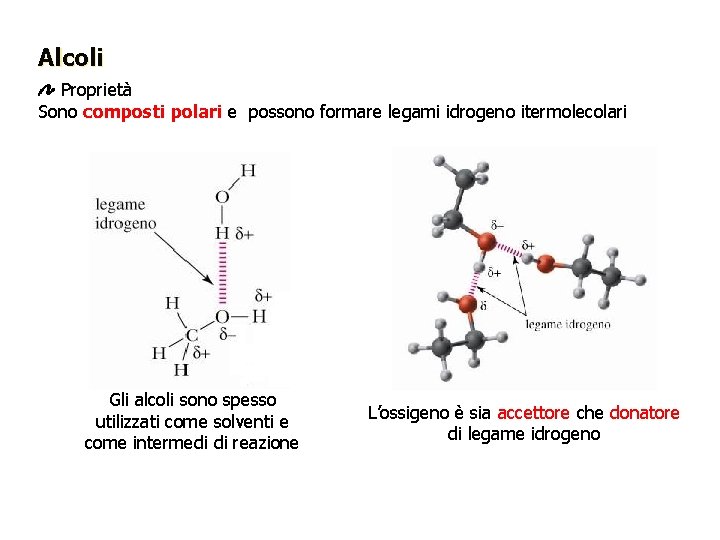 Alcoli Proprietà Sono composti polari e possono formare legami idrogeno itermolecolari Gli alcoli sono