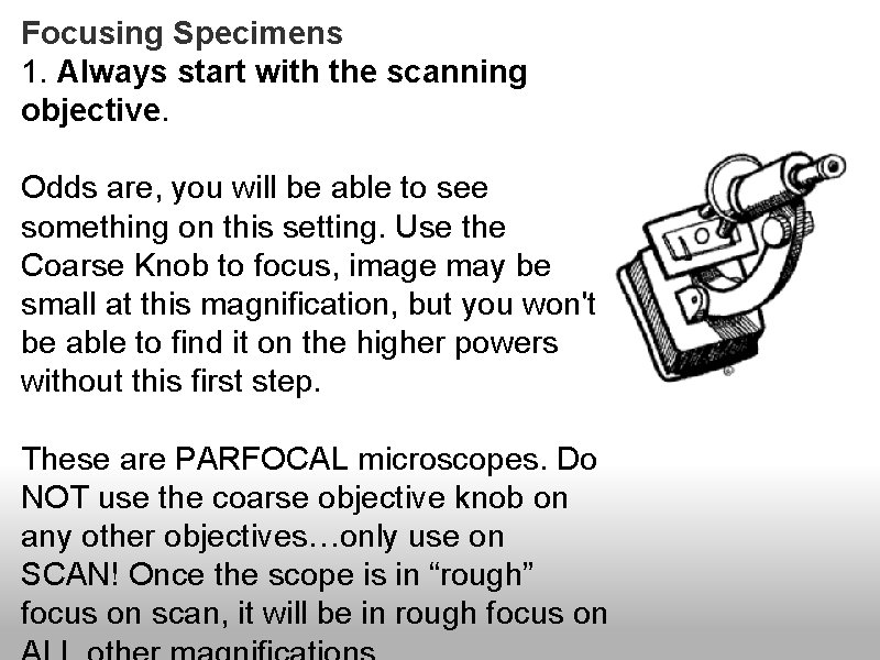 Focusing Specimens 1. Always start with the scanning objective. Odds are, you will be