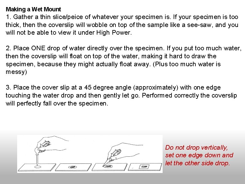 Making a Wet Mount 1. Gather a thin slice/peice of whatever your specimen is.